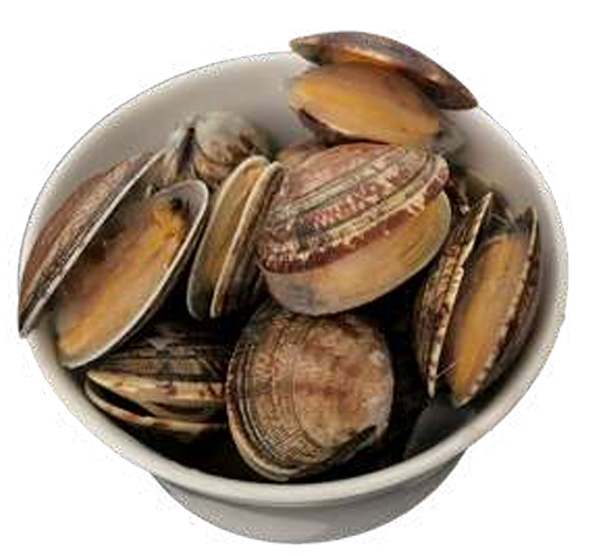 Flower Clams (pre-cooked) 500g/pkt
