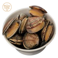 Flower Clams (pre-cooked) – frozen premium seafood, delivered in Singapore